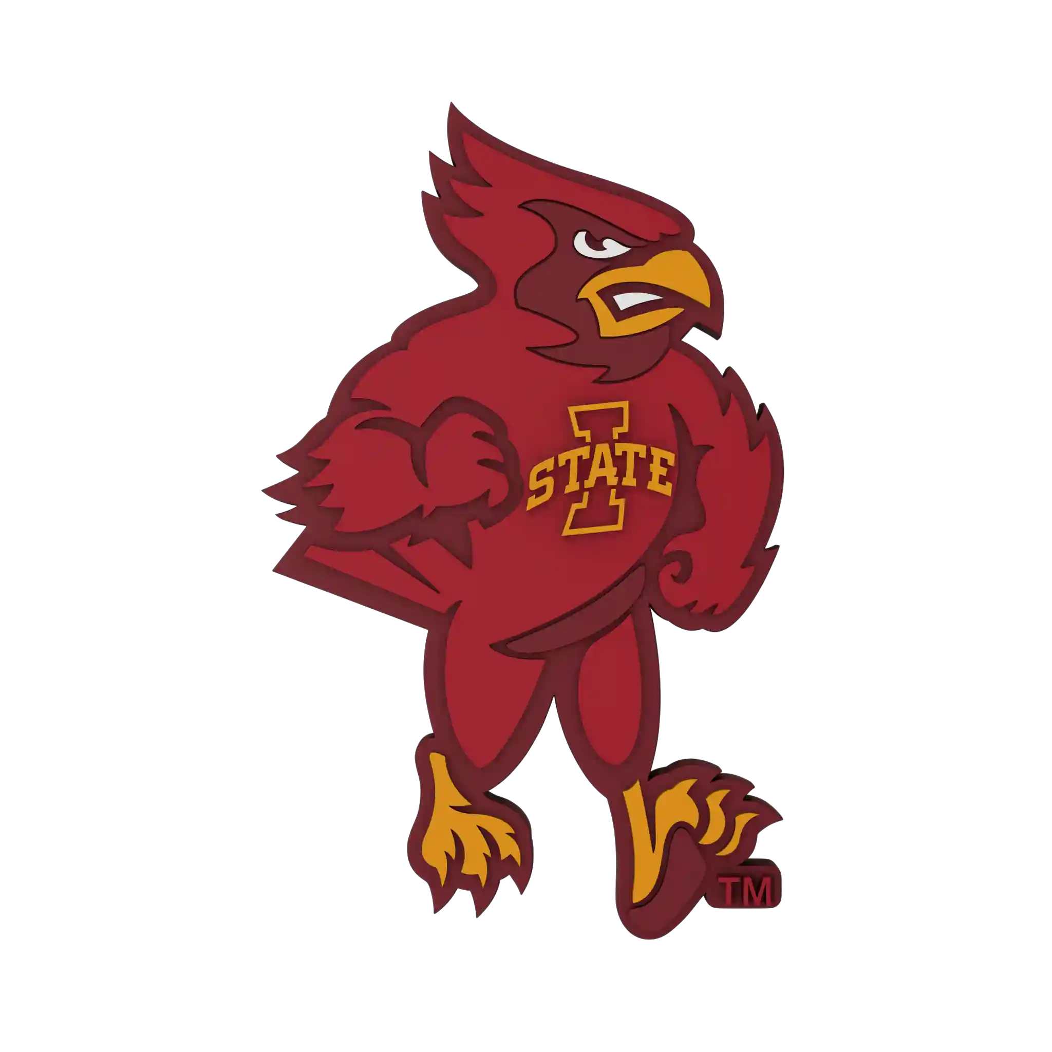 Selected Variant Image